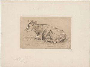Vache couchée