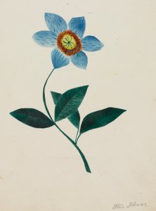 Fleur d