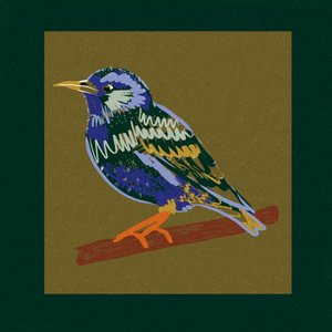 Perchoir aux étourneaux aux couleurs vives - Alyssa Hamilton