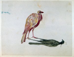 Un oiseau". Aquarelle. Aurore Amadine Lucie Dupin (1804-1876) Romancière et féministe française qui a écrit sous le nom de George Sand.