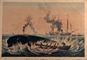 Pêche à la baleine dans les mers du Sud