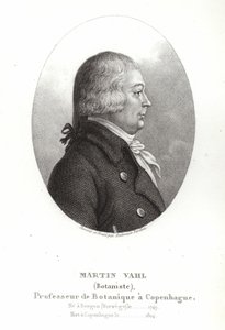 Martin Vahl - Ambroise Tardieu