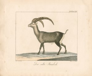  - Ambrosius Gabler