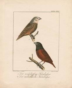  - Ambrosius Gabler