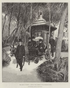 La reine à Hyères, une promenade dans les jardins de l