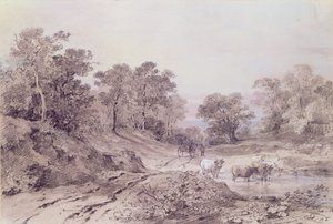 Une route de campagne entre les arbres
