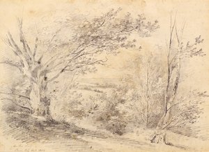 Bromley Hill - Amelia Long