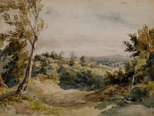 De Bromley