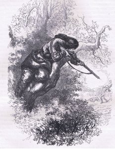 Tireur américain dans un arbre, illustration de l