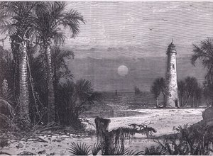 Vue de la côte de la Floride, illustration de l