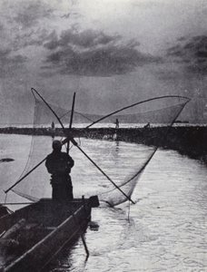 Un pêcheur japonais tirant son filet