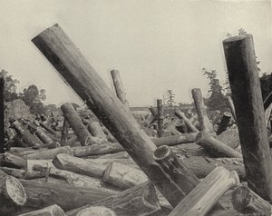 Embâcle de bois dans la rivière St Croix, Wisconsin - American Photographer (after)