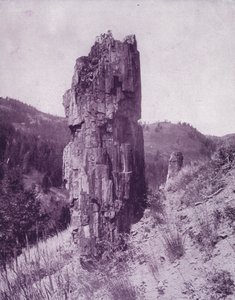 Un arbre pétrifié dans les mauvaises terres du Dakota - American Photographer (after)