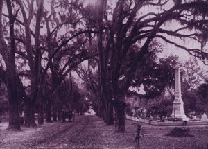 Cimetière Bonaventure, Savannah, Géorgie - American Photographer (after)