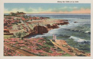 Californie : Le long des falaises à La Jolla