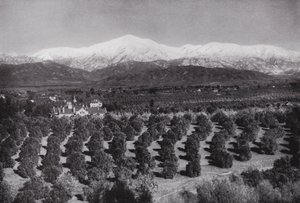 Californie : Redlands, depuis Smiley Heights, soleil, orangeraies et sommets enneigés - American Photographer (after)