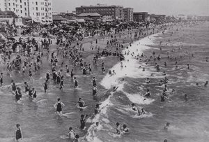 Californie : Venice, une station balnéaire populaire toute l