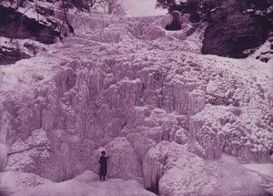 Chutes Hector, Watkin