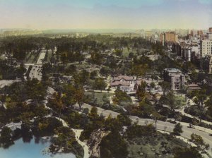 New York : Central Park ; The Mall et Zoo ; Fifth Avenue - American Photographer (after)