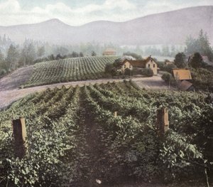 Oregon : Agriculture diversifiée dans la vallée de Willamette - American Photographer (after)