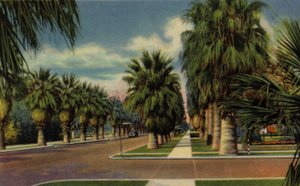 Phoenix, Arizona : North Central Avenue (photo) - American Photographer (after)