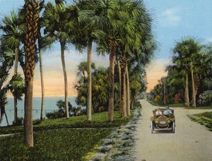 Riverside Drive, Fort Pierce, Floride (photo) - American Photographer (after)