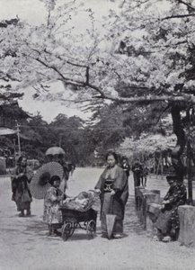 Sous les cerisiers en fleurs au parc de Shiba, Tokyo - American Photographer (after)