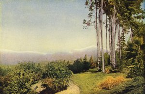 Paysage de Californie du Sud près de Redlands (photo couleur)