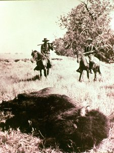 Chasseurs de bisons américains - American Photographer