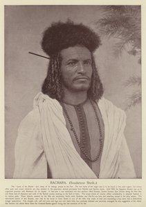 Bachara, Cheik soudanais
