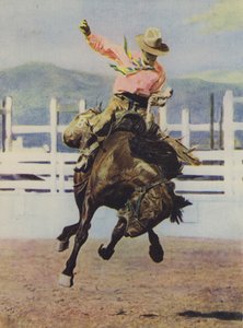 Cowboy dressant un cheval