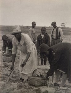 Travail aux Champs - American Photographer