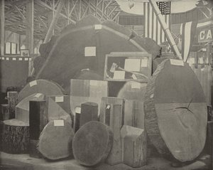 La hache de Gladstone - American Photographer