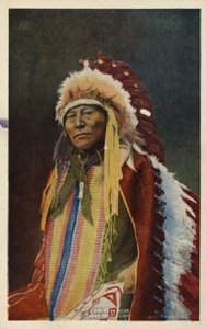 Ours à cornes creuses, chef indien sioux (photo) - American Photographer