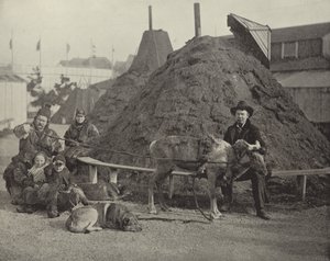 Vue Intérieure du Village Lapon