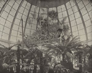 Intérieur du dôme horticole - American Photographer