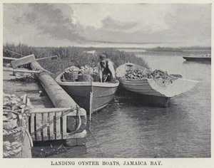 Débarquement des bateaux à huîtres, Jamaica Bay - American Photographer