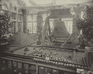 La cloche de la liberté en oranges - American Photographer