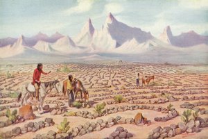 Labyrinthe mystique des Indiens Mojave, près de Needles, Californie - American Photographer