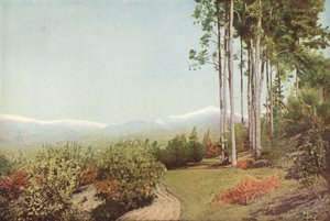 Old Baldy, depuis Smiley Heights, Californie