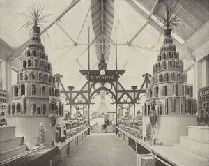 Ontario dans le bâtiment horticole - American Photographer