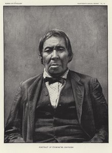 Portrait d