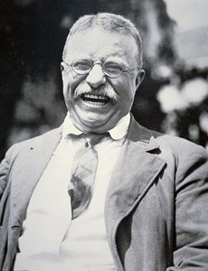 Le président Theodore Roosevelt, vers 1917 (photo n/b) - American Photographer