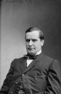 Président William McKinley, 1870-80