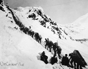 Prospecteurs grimpant le col Chilkoot pendant la ruée vers l