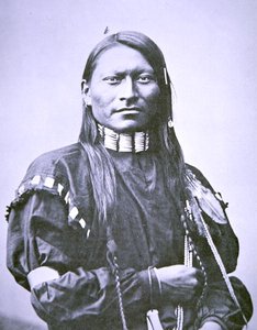 Panthère Rouge - American Photographer