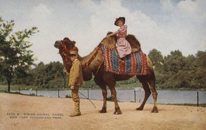 Chevauchée d
