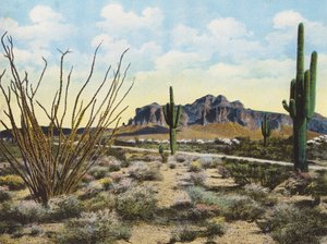 Montagne et désert de Superstition, "Apache Trail" (photo couleur) - American Photographer
