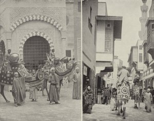 Scènes typiques dans la rue du Caire - American Photographer