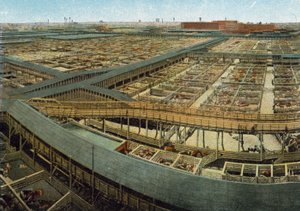 Union Stock Yards - American Photographer